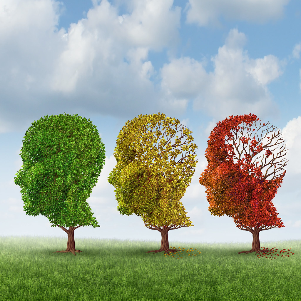 Brain Aging | Brain aging and memory loss due to Dementia an… | Flickr