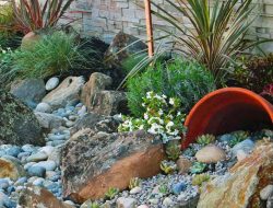 Yard Fertilizing Companies Enhancing Your Greenery