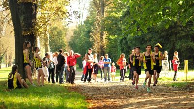 Free Images : walking, people, running, sports, outdoor recreation ...