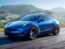 Cheapest Insurance For Tesla Model Y Options To Save